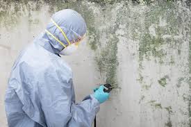 Best Mold Remediation for Healthcare Facilities  in Cornell, WI